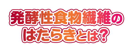 発酵性食物繊維の働きとは?