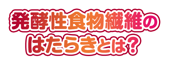 発酵性食物繊維の働きとは?